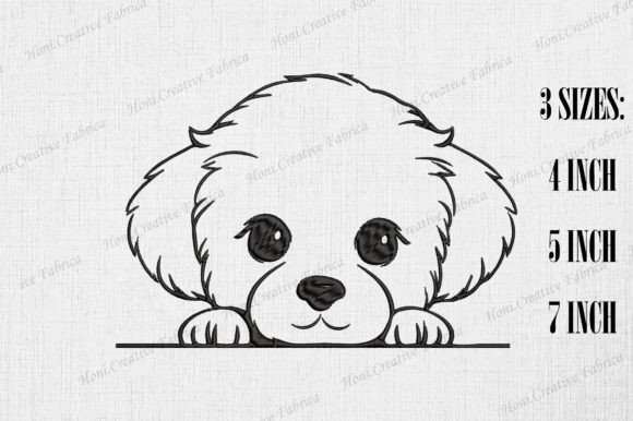 Cute Bichon Frise Dog Peeking Wall Review